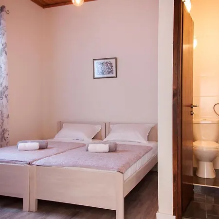 Guest house Domus Albus *